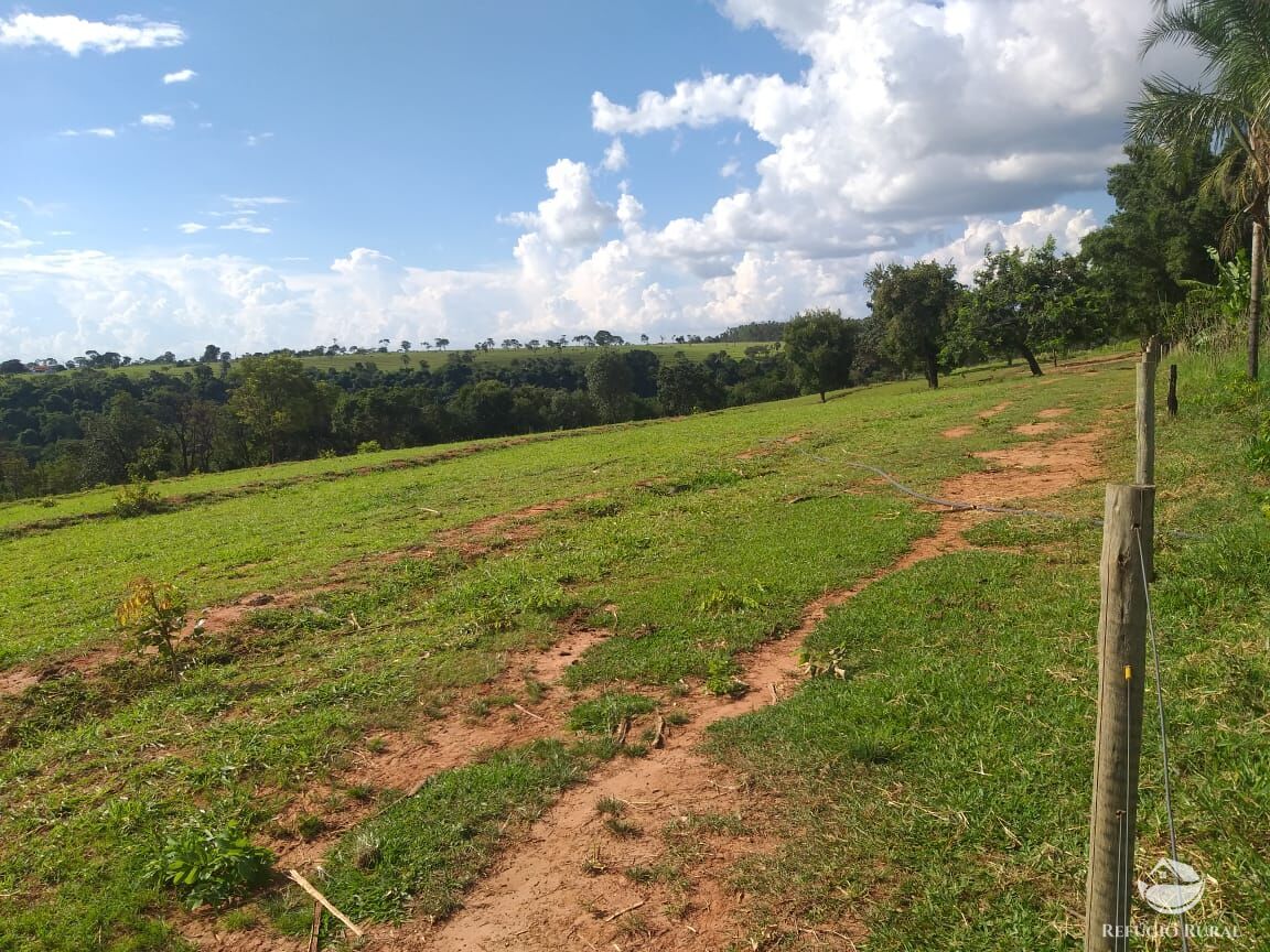 Fazenda à venda com 2 quartos, 175000m² - Foto 28