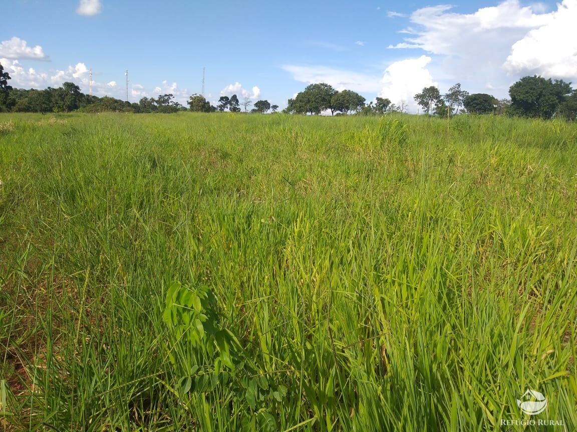 Fazenda à venda com 2 quartos, 175000m² - Foto 19