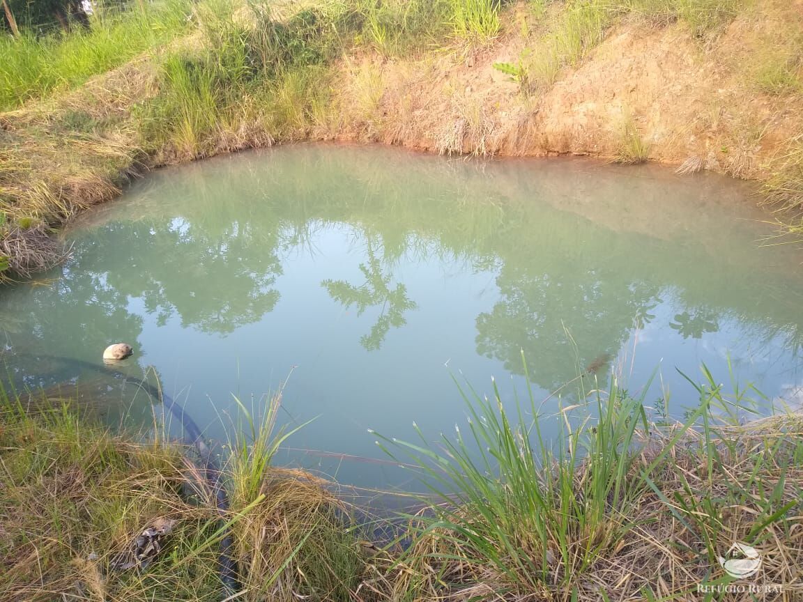 Fazenda à venda com 2 quartos, 175000m² - Foto 16