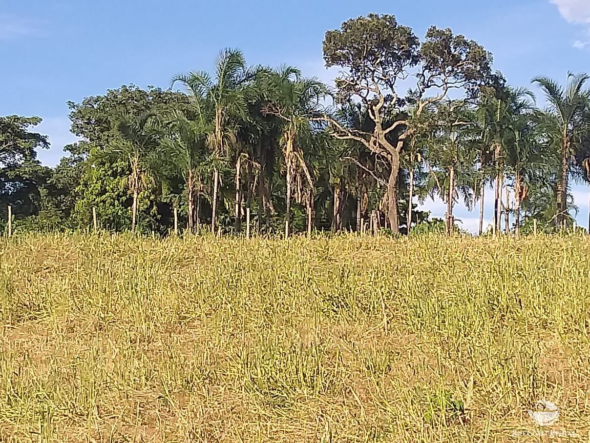 Fazenda à venda com 2 quartos, 175000m² - Foto 8