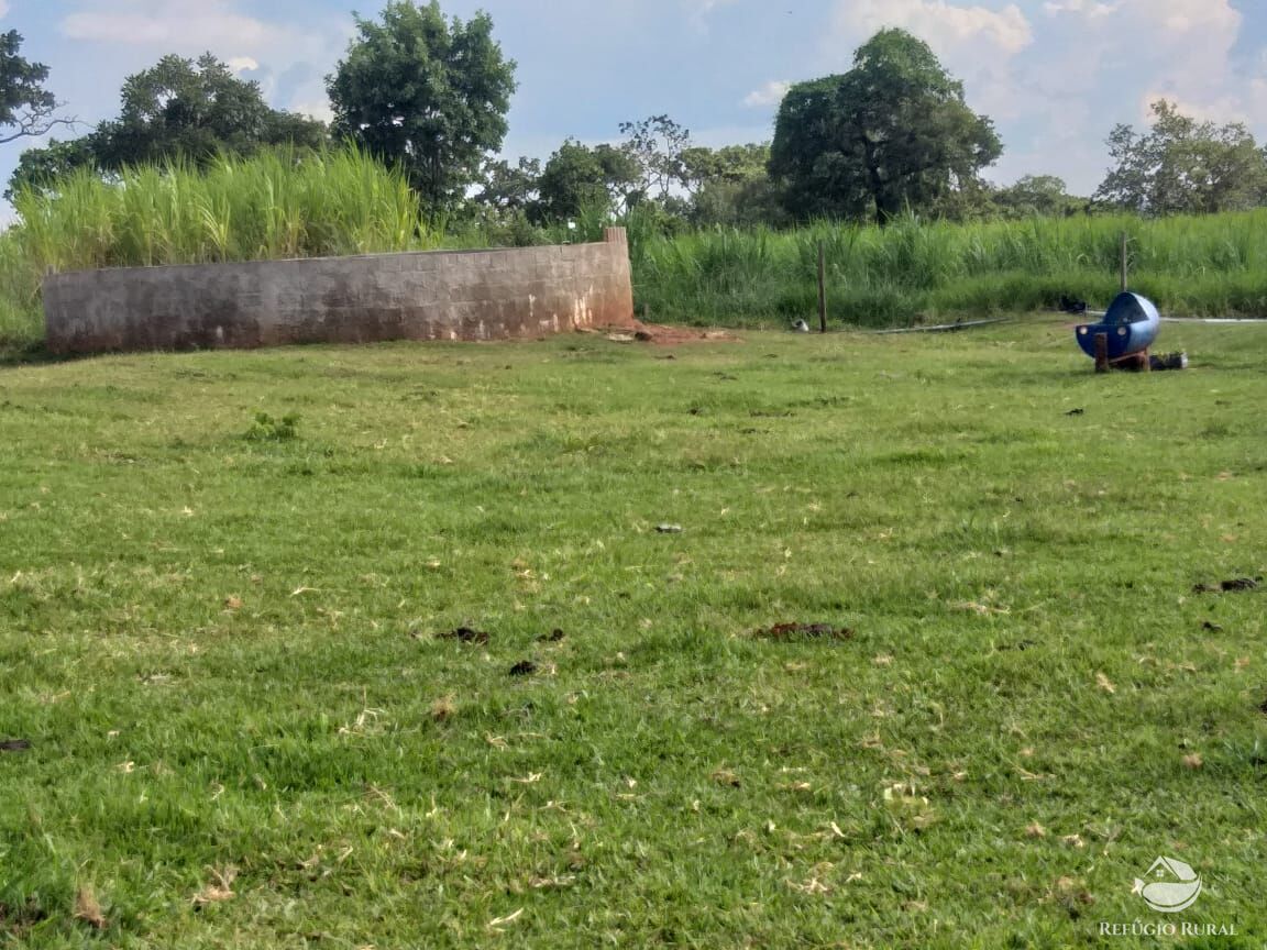 Fazenda à venda com 2 quartos, 175000m² - Foto 36