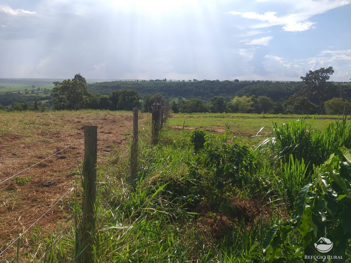 Fazenda à venda com 2 quartos, 175000m² - Foto 34