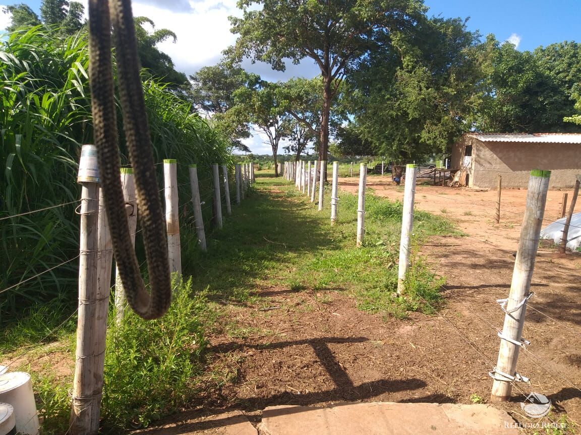 Fazenda à venda com 2 quartos, 175000m² - Foto 31