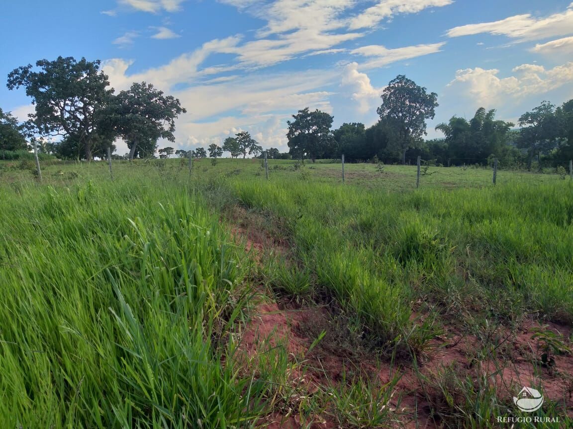 Fazenda à venda com 2 quartos, 175000m² - Foto 15