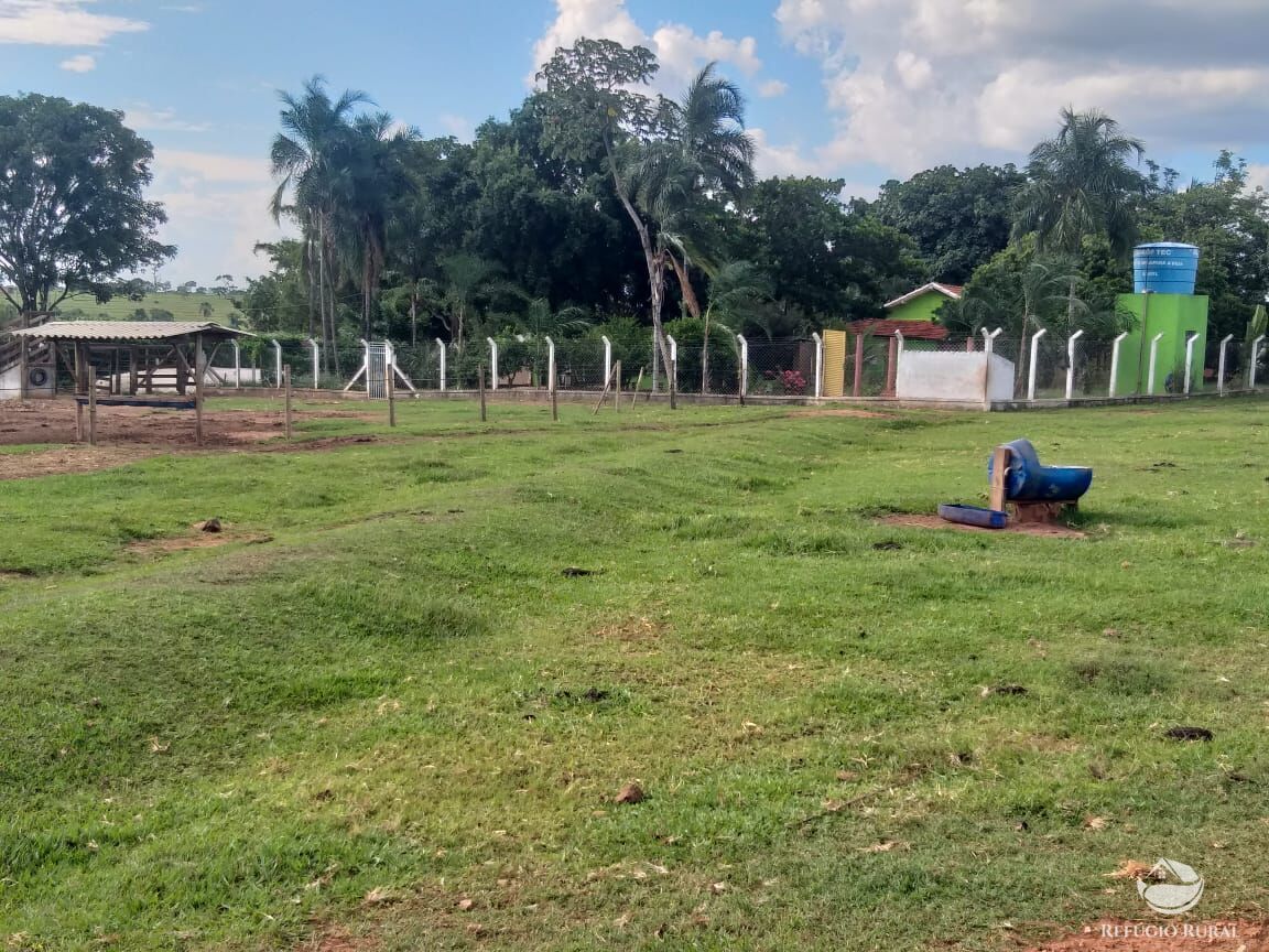 Fazenda à venda com 2 quartos, 175000m² - Foto 33