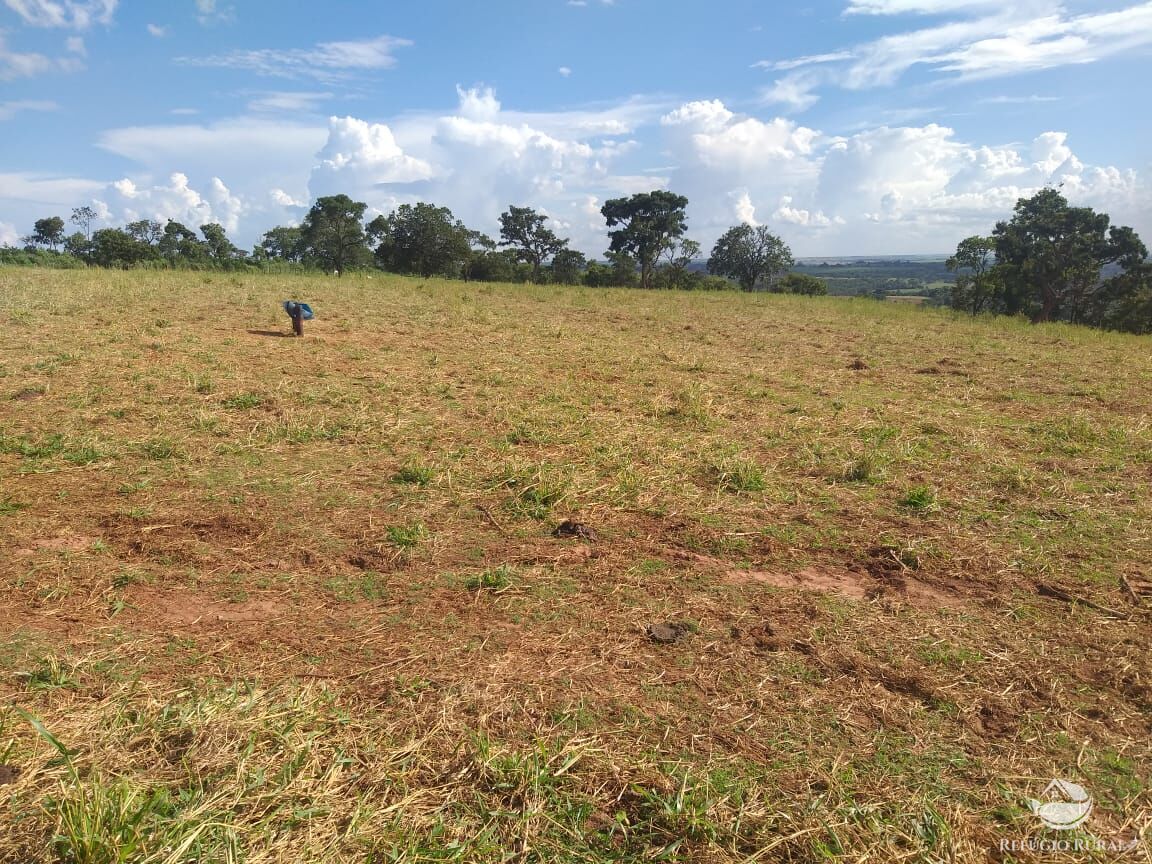 Fazenda à venda com 2 quartos, 175000m² - Foto 32