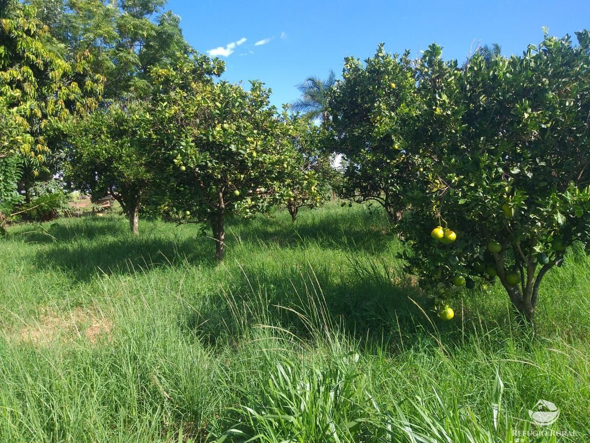 Fazenda à venda com 2 quartos, 175000m² - Foto 26