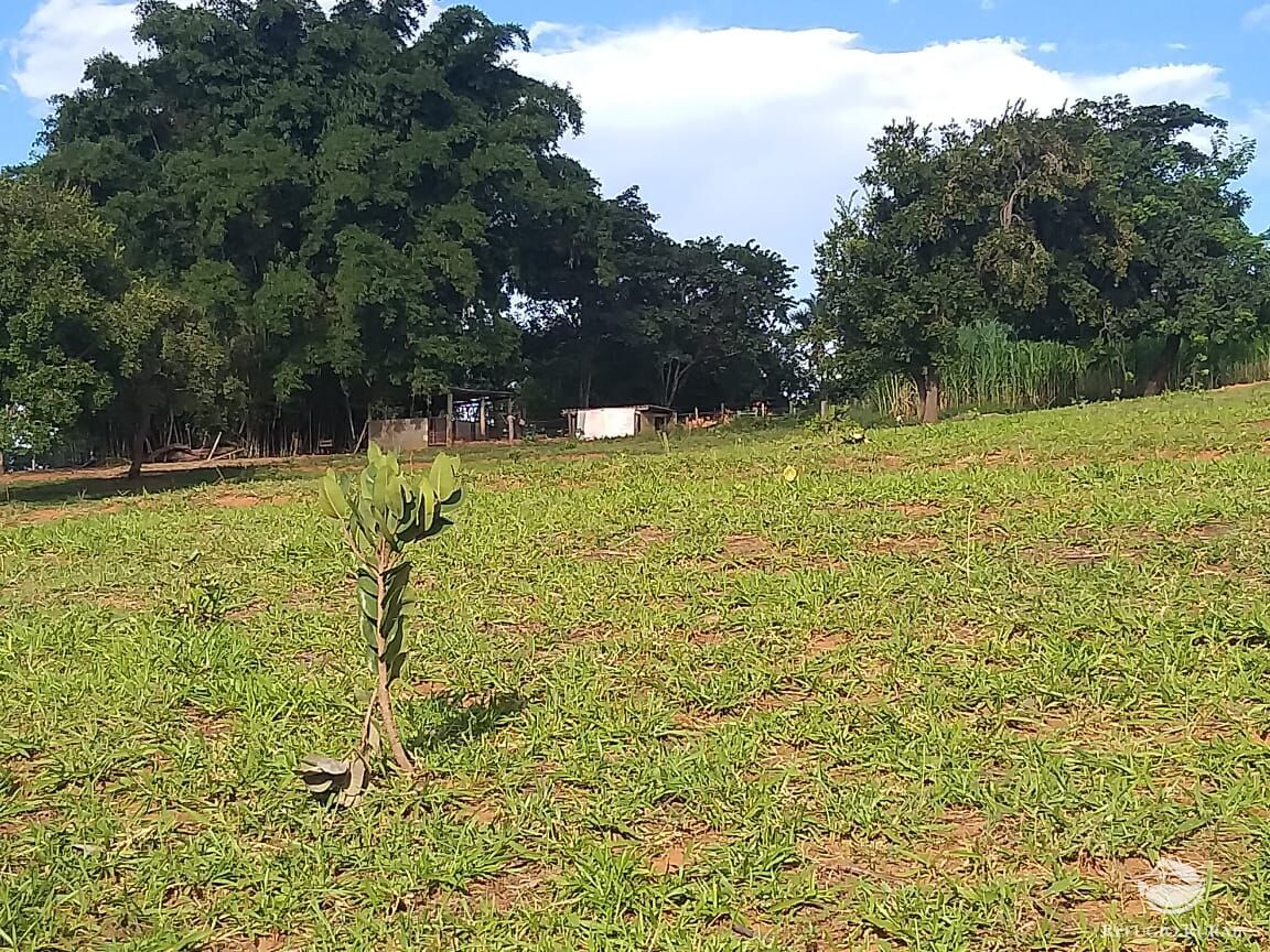 Fazenda à venda com 2 quartos, 175000m² - Foto 14