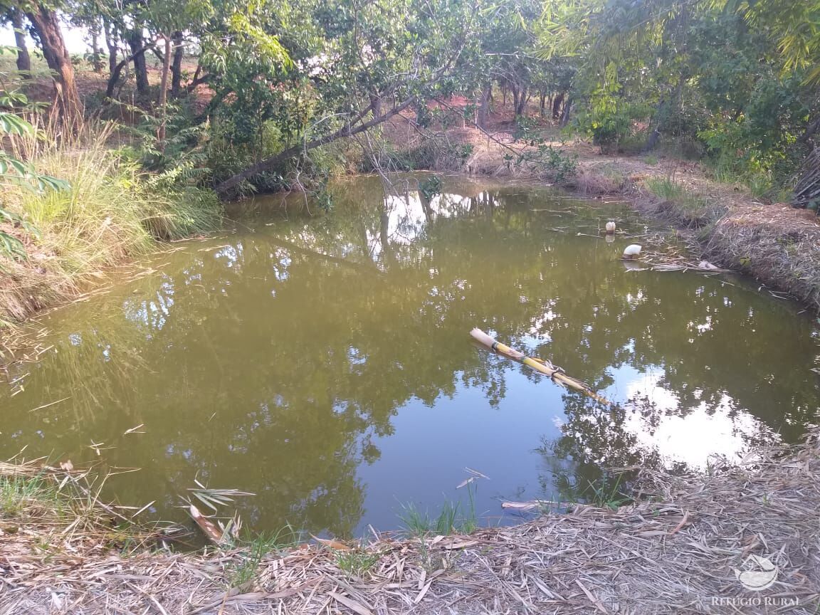 Fazenda à venda com 2 quartos, 175000m² - Foto 4