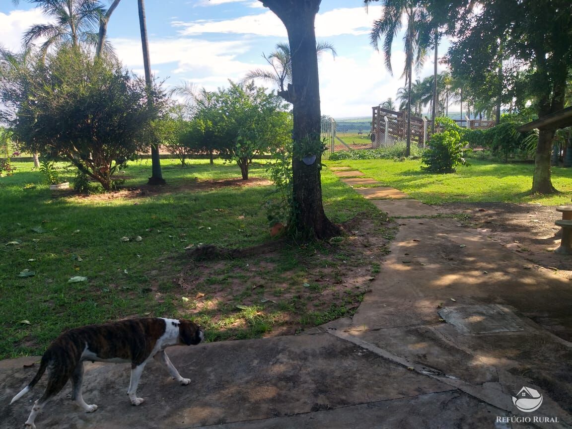 Fazenda à venda com 2 quartos, 175000m² - Foto 24