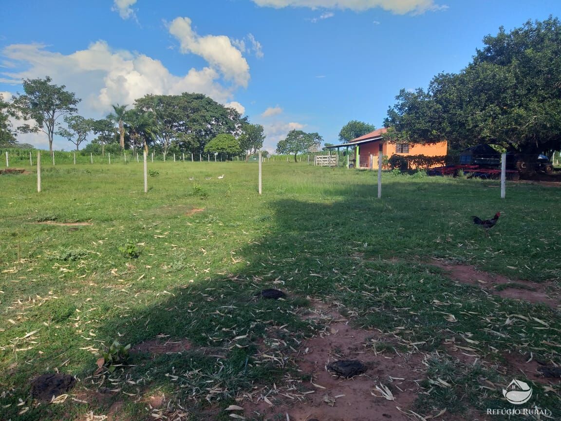 Fazenda à venda com 2 quartos, 175000m² - Foto 18