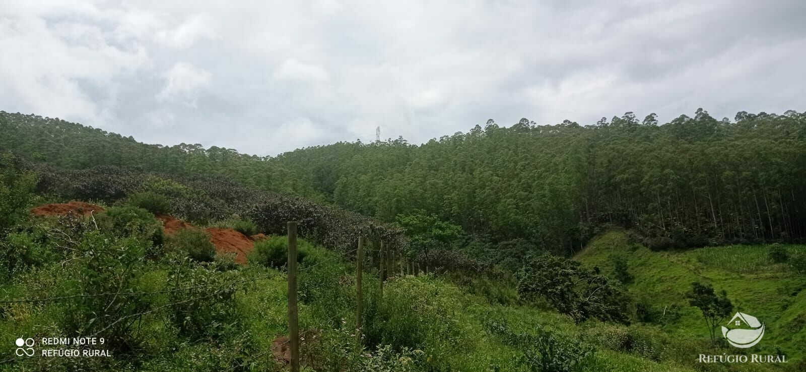 Fazenda à venda com 4 quartos, 242000m² - Foto 32