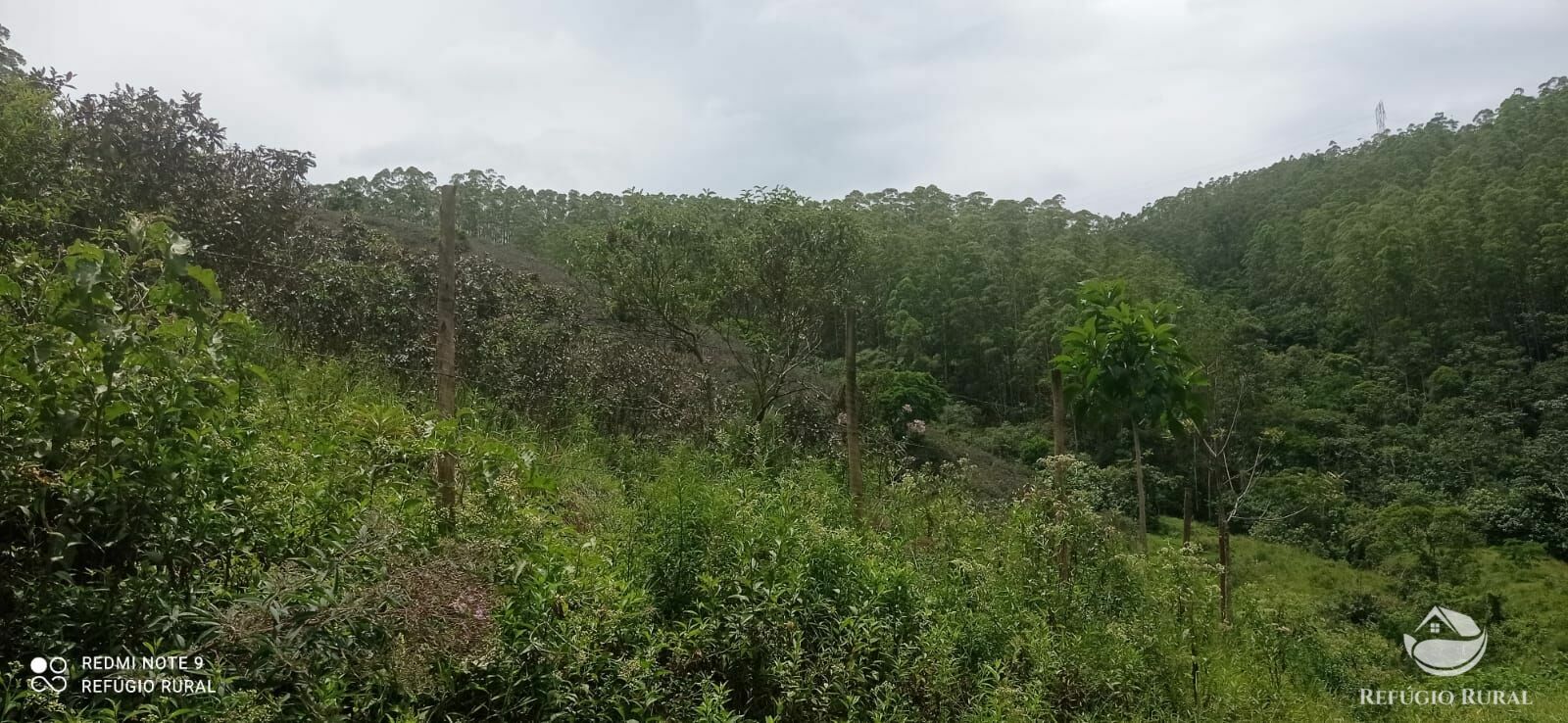 Fazenda à venda com 4 quartos, 242000m² - Foto 33