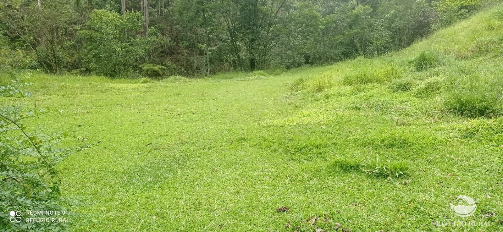 Fazenda à venda com 4 quartos, 242000m² - Foto 5