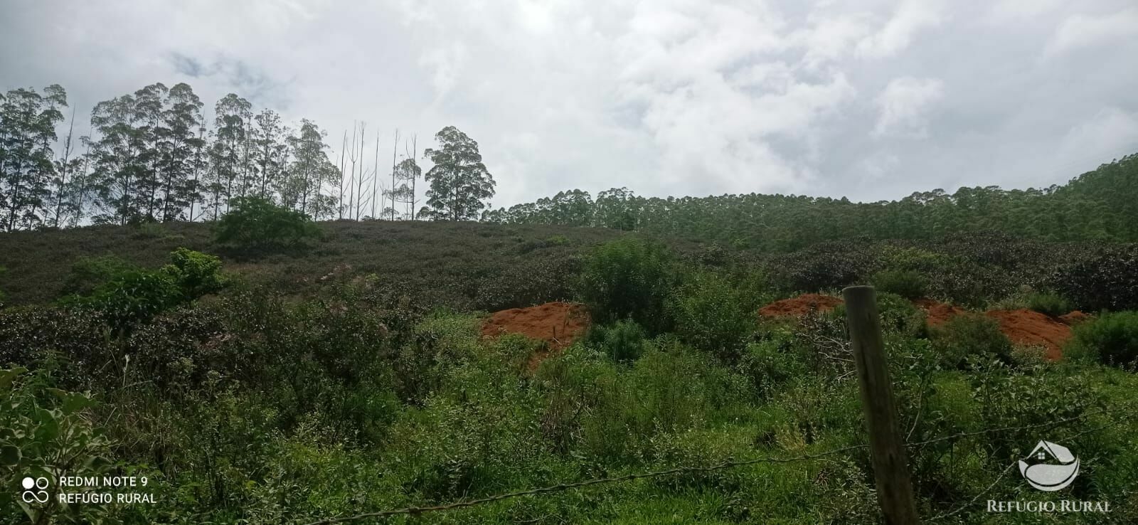 Fazenda à venda com 4 quartos, 242000m² - Foto 31