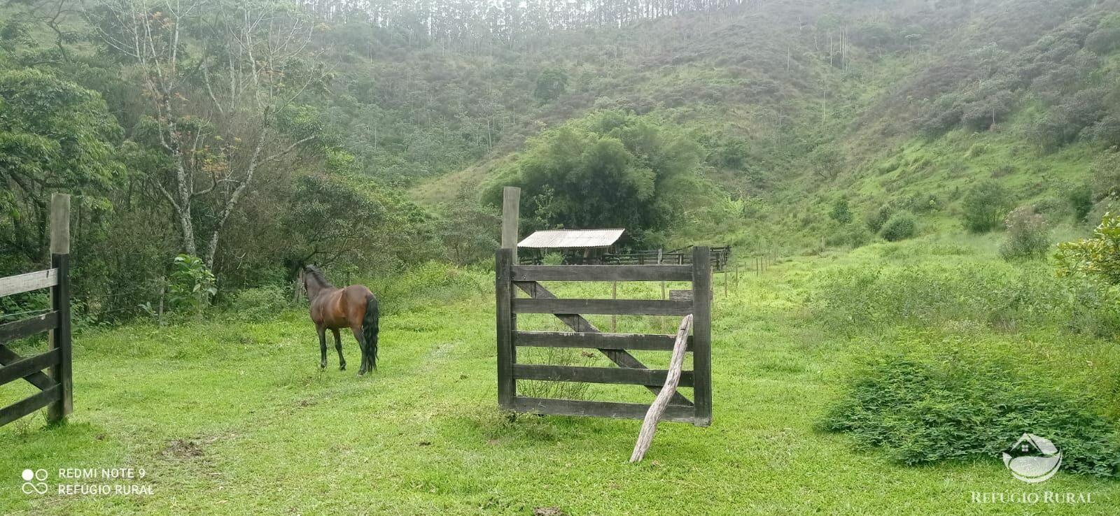 Fazenda à venda com 4 quartos, 242000m² - Foto 17