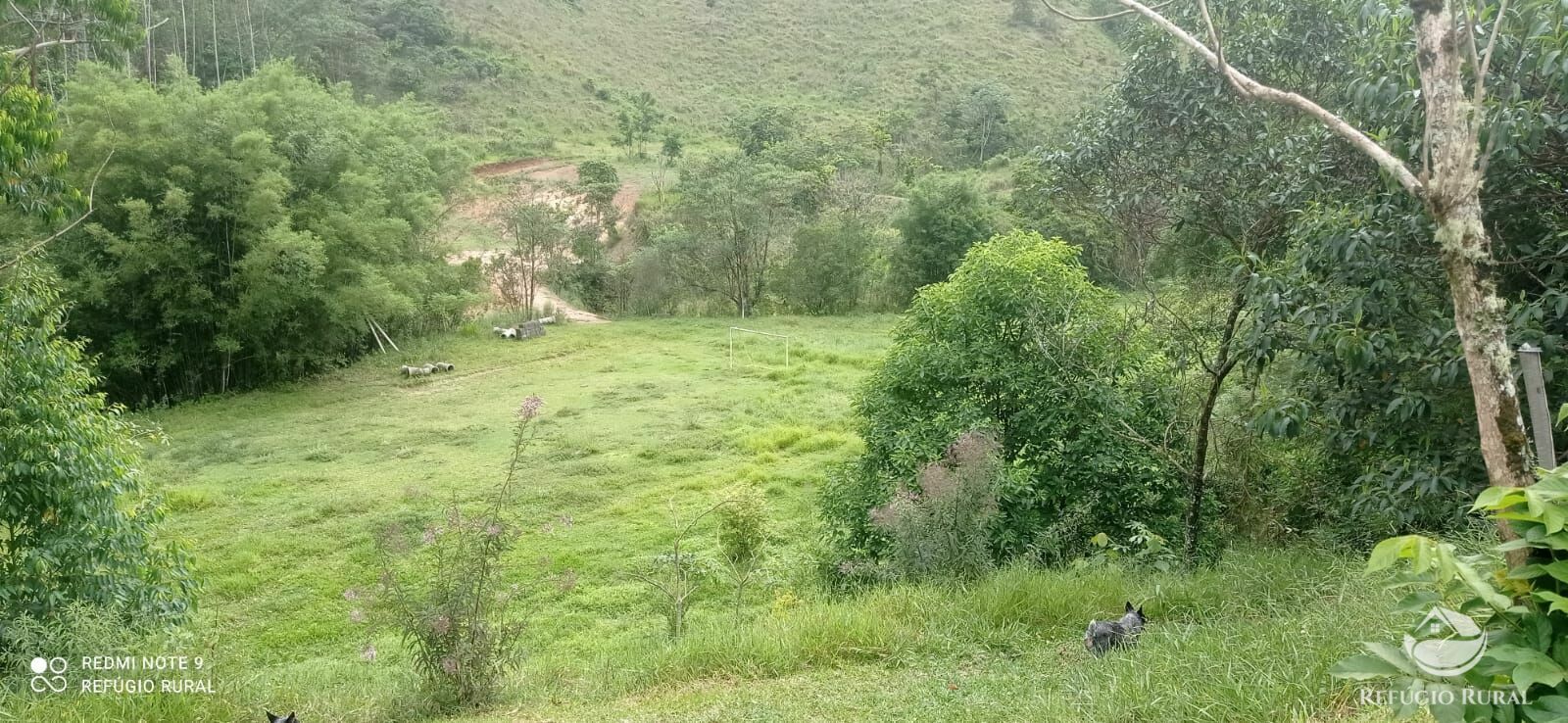 Fazenda à venda com 4 quartos, 242000m² - Foto 15