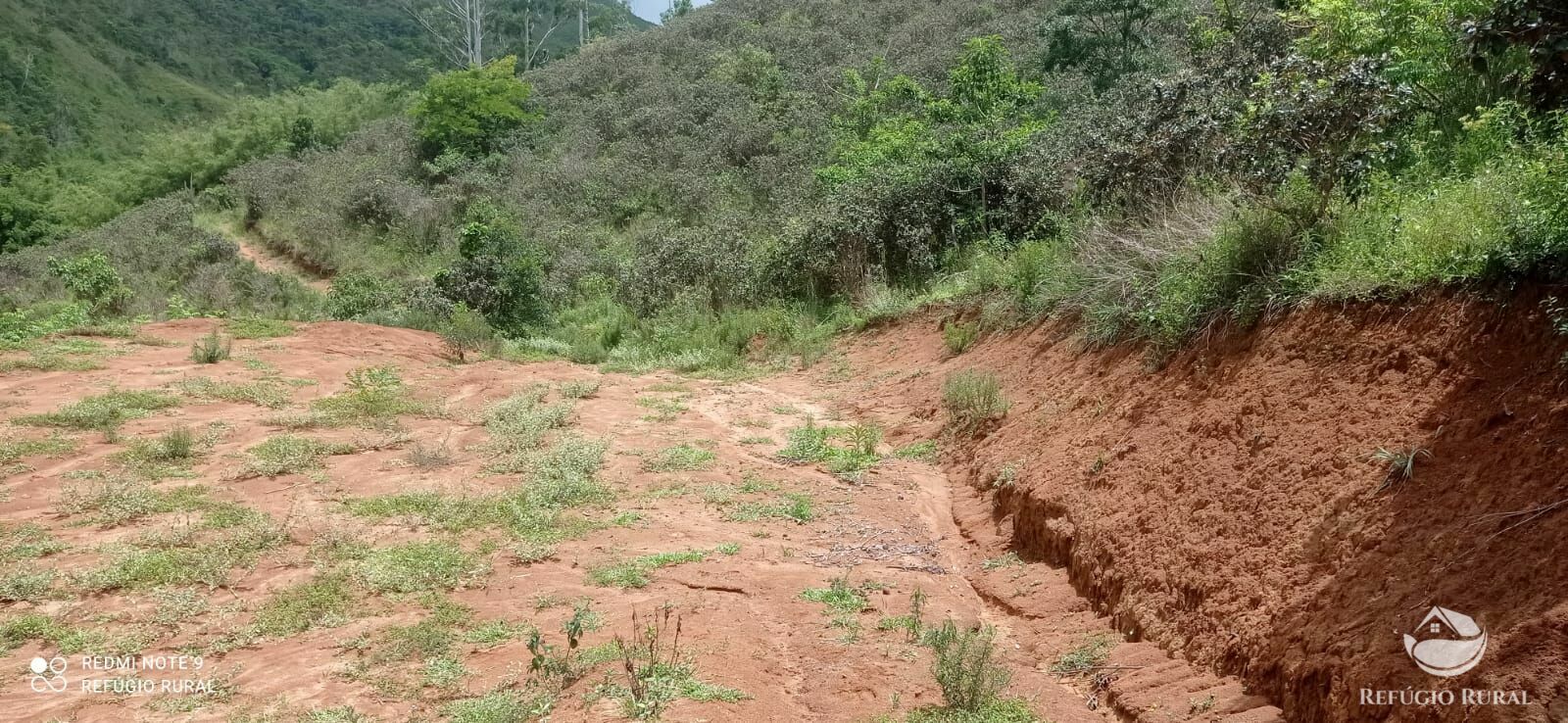 Fazenda à venda com 4 quartos, 242000m² - Foto 27