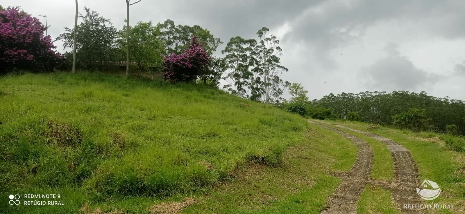 Fazenda à venda com 4 quartos, 242000m² - Foto 2