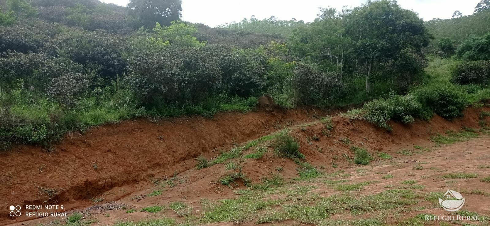 Fazenda à venda com 4 quartos, 242000m² - Foto 20