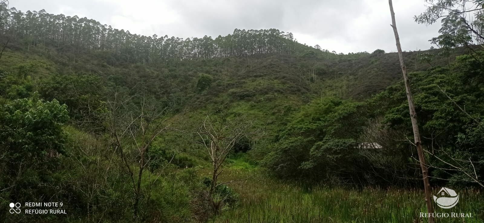 Fazenda à venda com 4 quartos, 242000m² - Foto 3