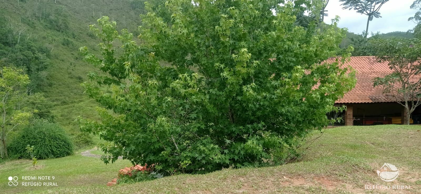 Fazenda à venda com 4 quartos, 242000m² - Foto 19