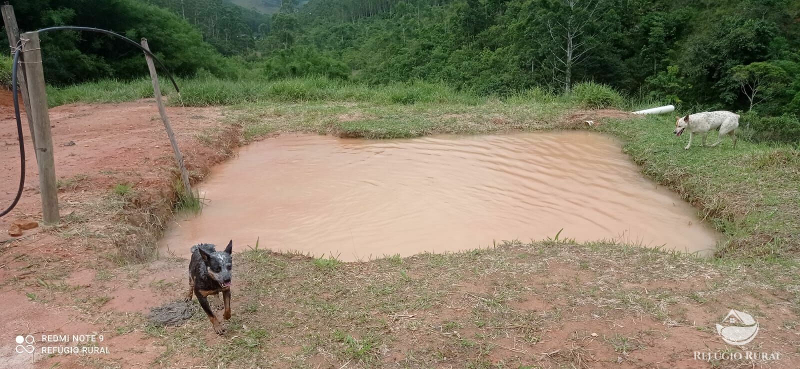 Fazenda à venda com 4 quartos, 242000m² - Foto 18