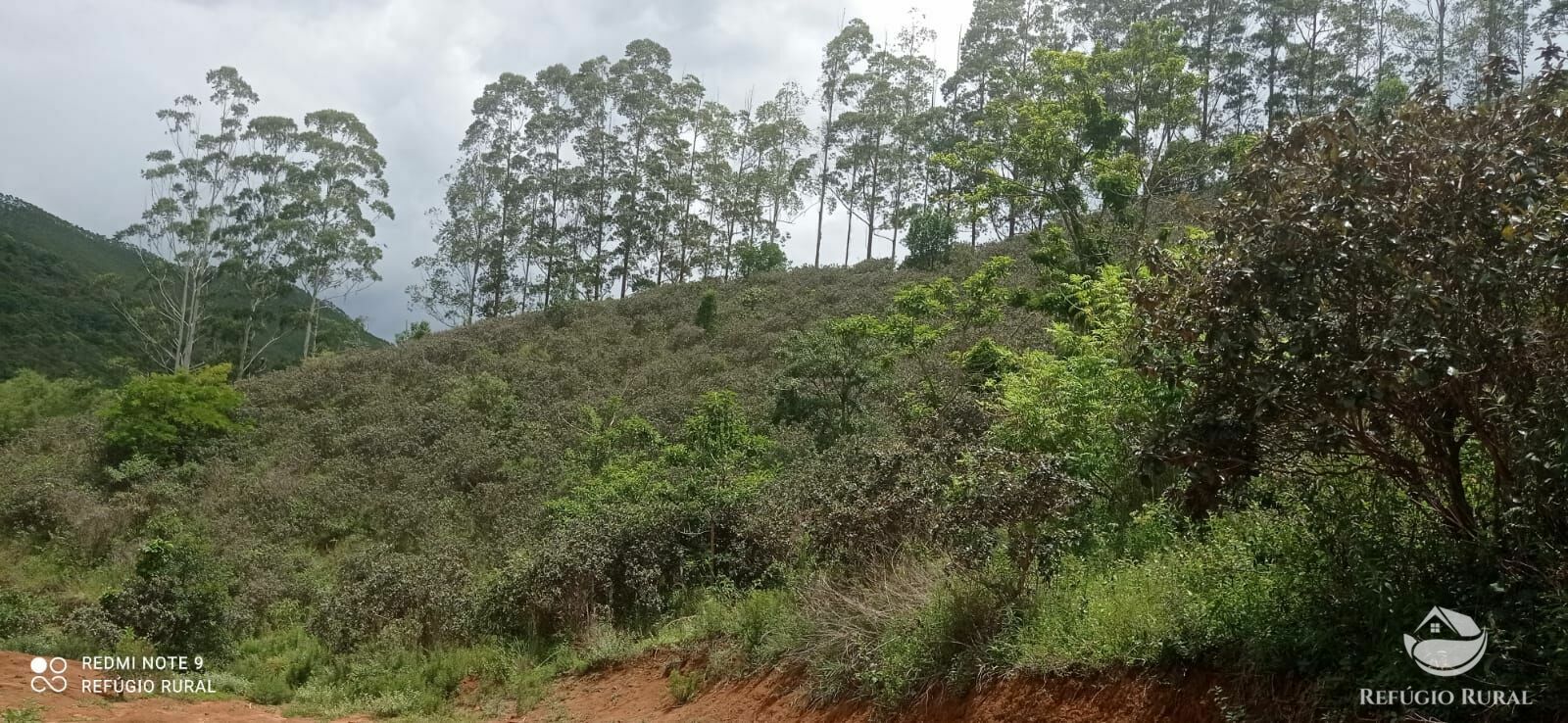 Fazenda à venda com 4 quartos, 242000m² - Foto 25