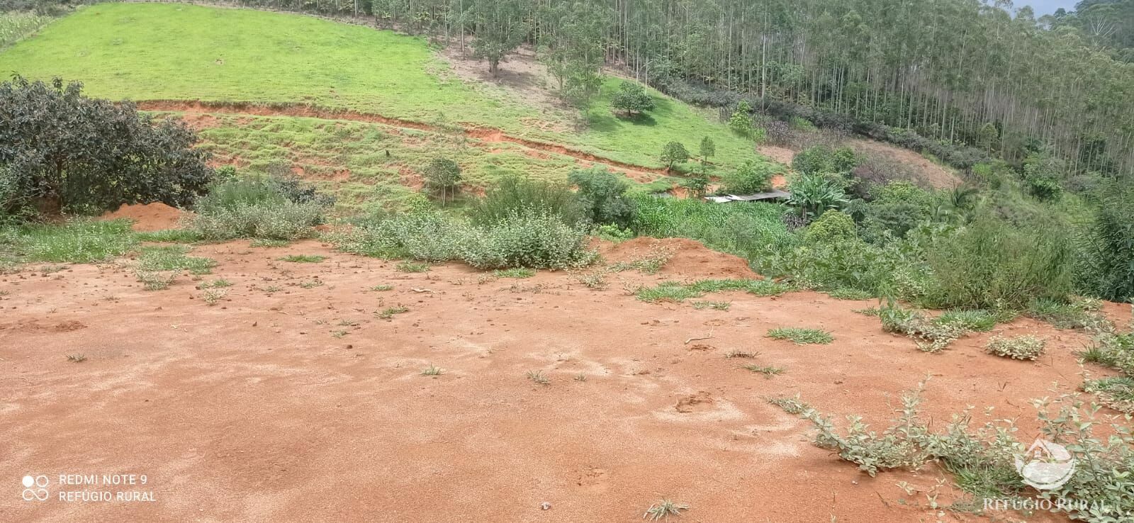 Fazenda à venda com 4 quartos, 242000m² - Foto 30