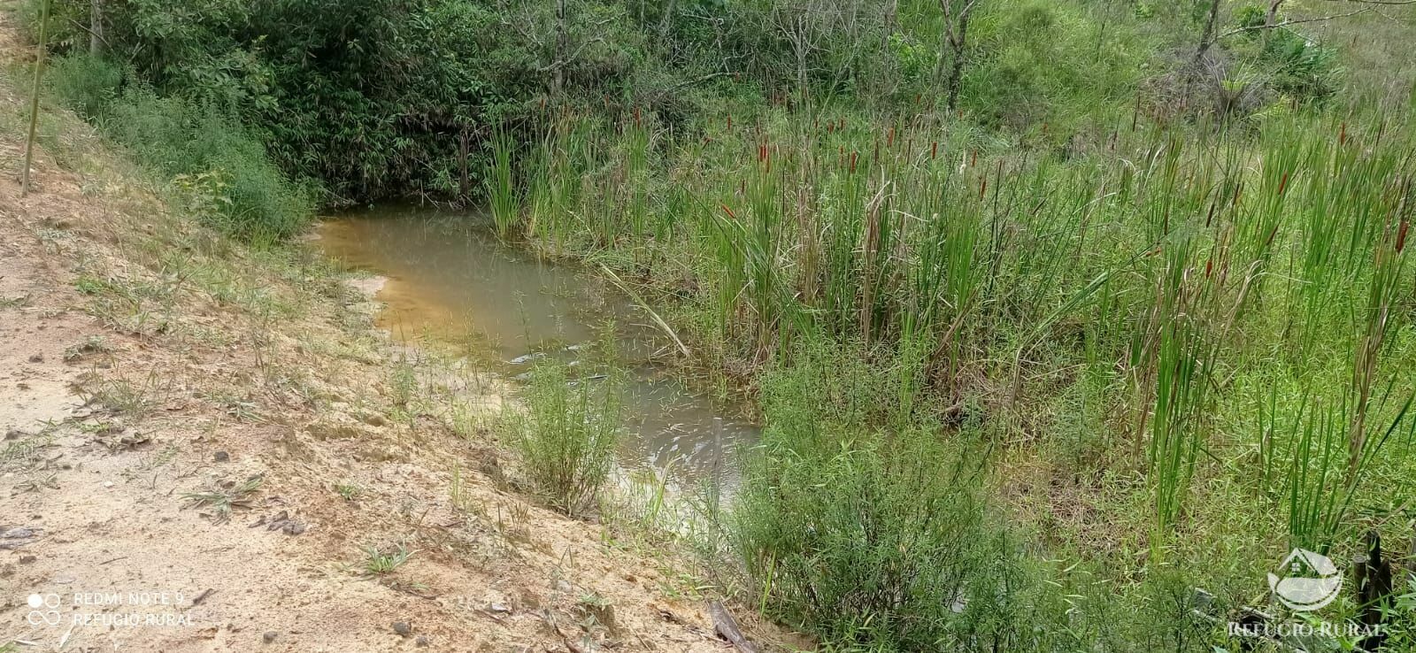 Fazenda à venda com 4 quartos, 242000m² - Foto 14