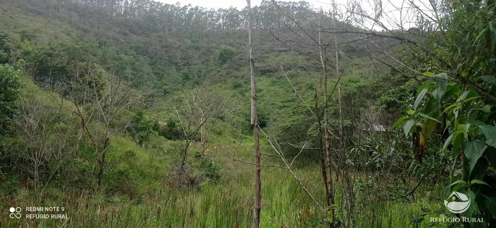 Fazenda à venda com 4 quartos, 242000m² - Foto 8