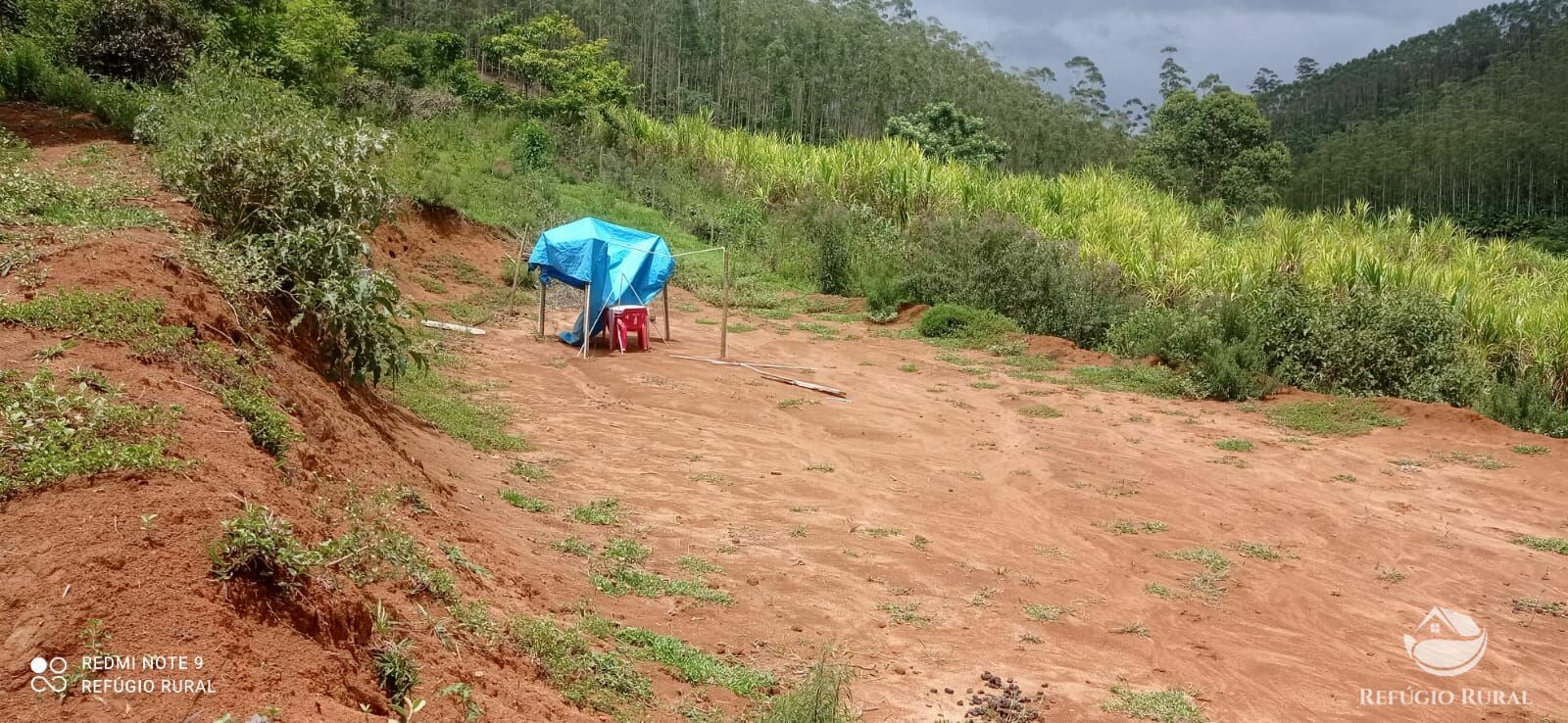 Fazenda à venda com 4 quartos, 242000m² - Foto 23