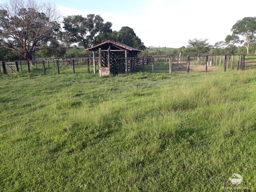 Fazenda à venda com 2 quartos, 1331m² - Foto 12