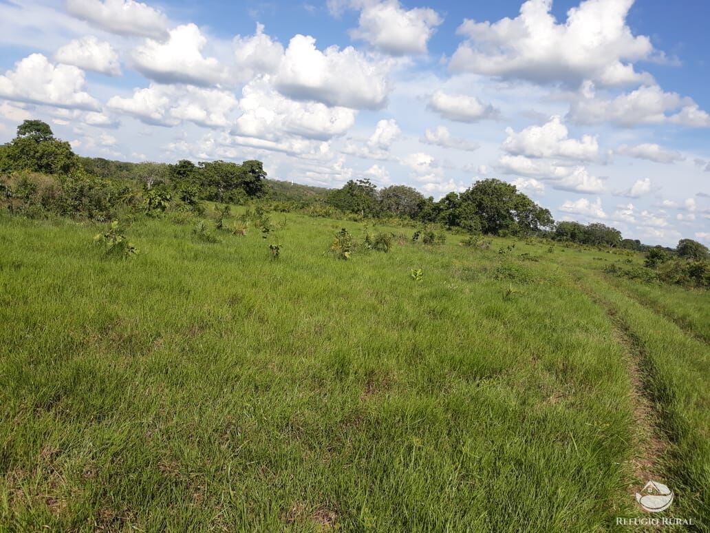 Fazenda à venda com 2 quartos, 1331m² - Foto 17