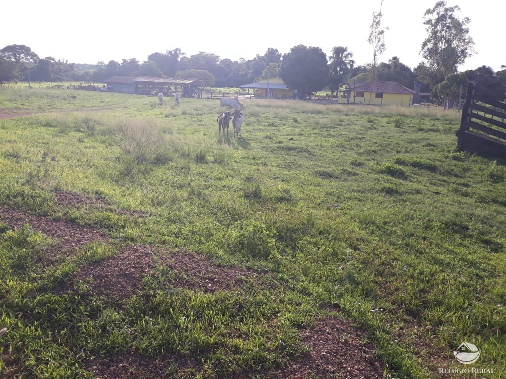 Fazenda à venda com 2 quartos, 1331m² - Foto 16