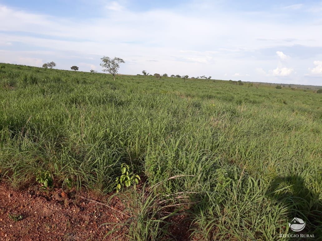 Fazenda à venda com 2 quartos, 1331m² - Foto 15