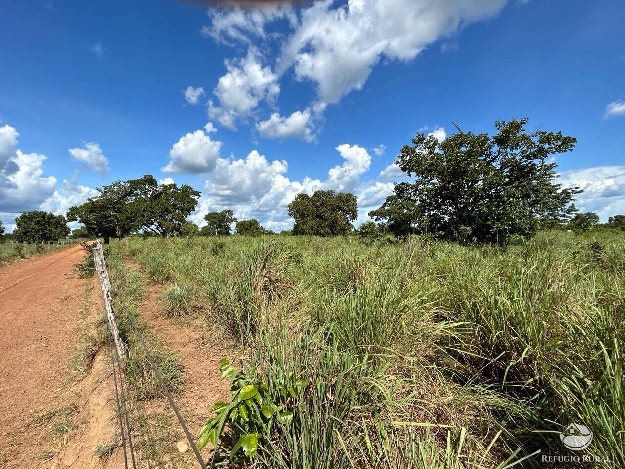 Fazenda à venda com 2 quartos, 1331m² - Foto 6