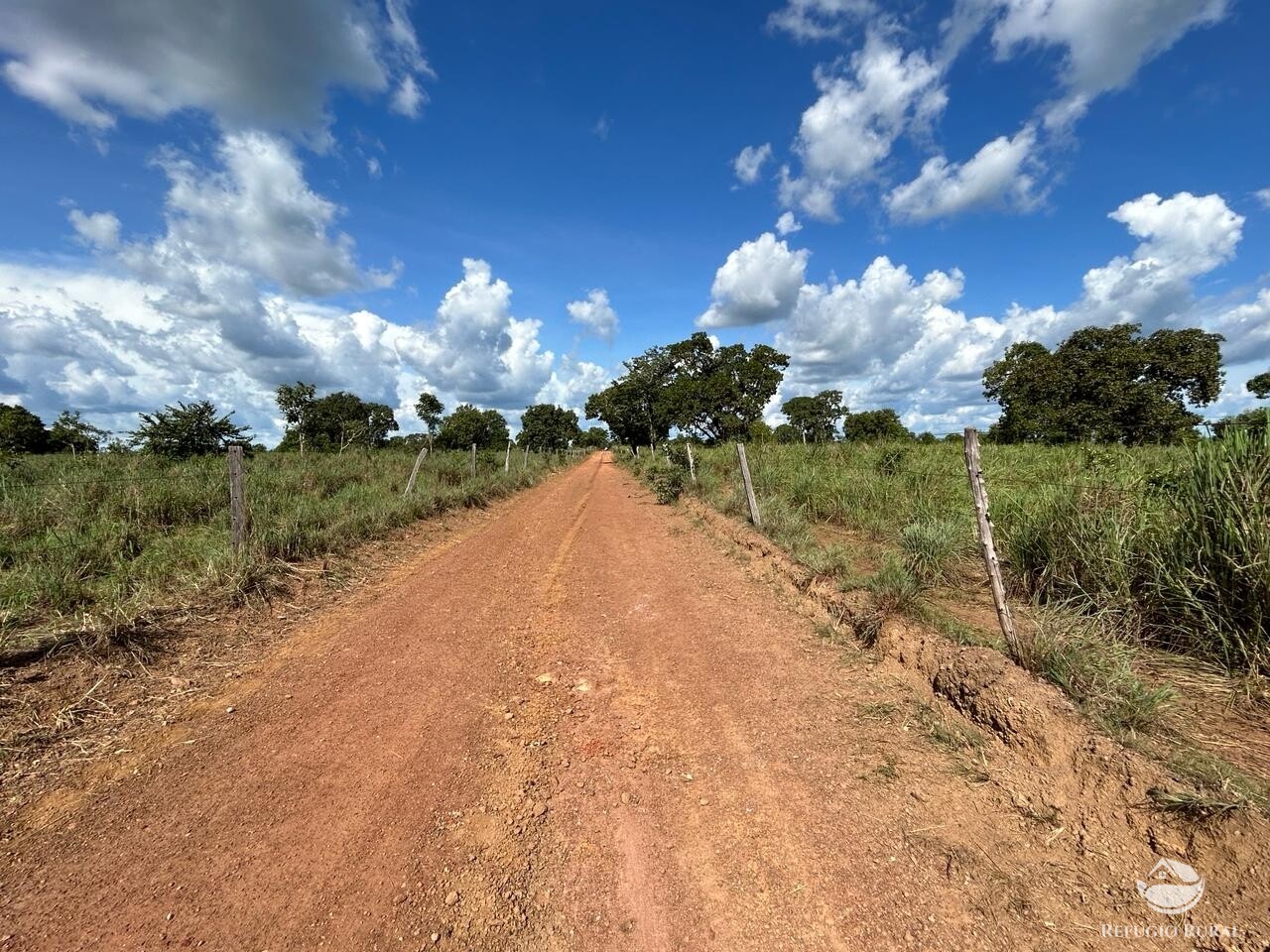 Fazenda à venda com 2 quartos, 1331m² - Foto 5