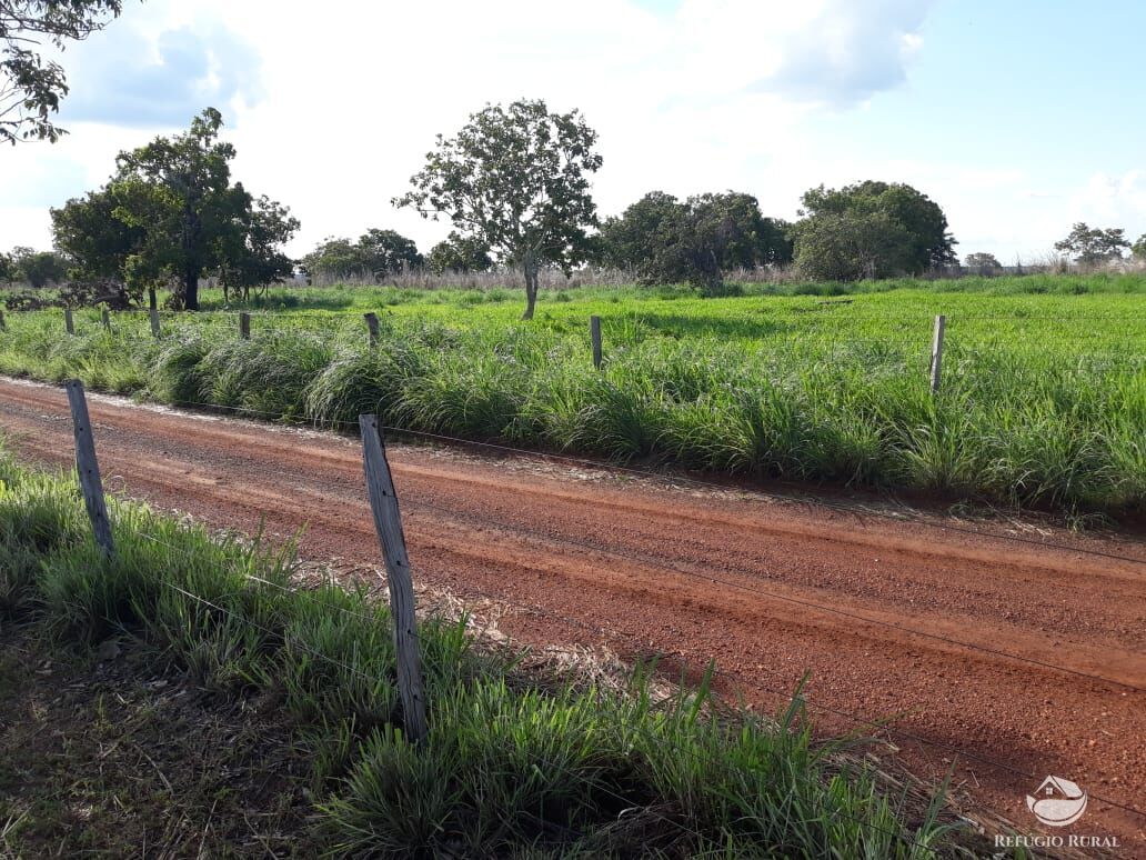 Fazenda à venda com 2 quartos, 1331m² - Foto 18