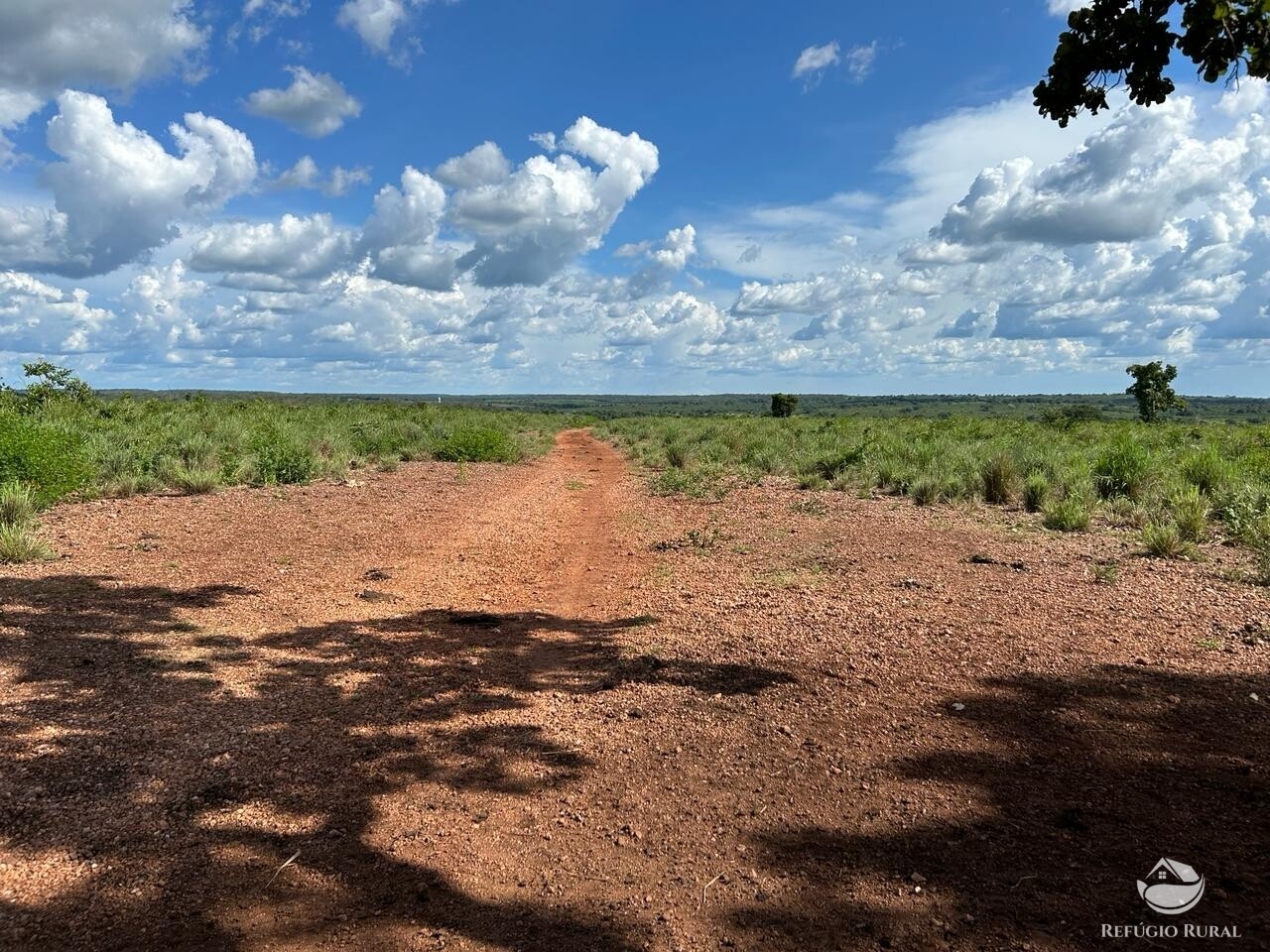 Fazenda à venda com 2 quartos, 1331m² - Foto 3