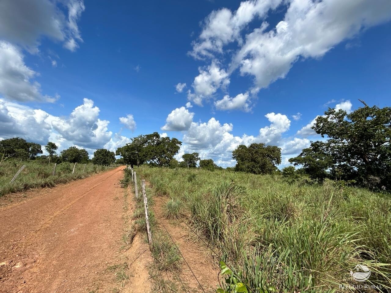 Fazenda à venda com 2 quartos, 1331m² - Foto 4