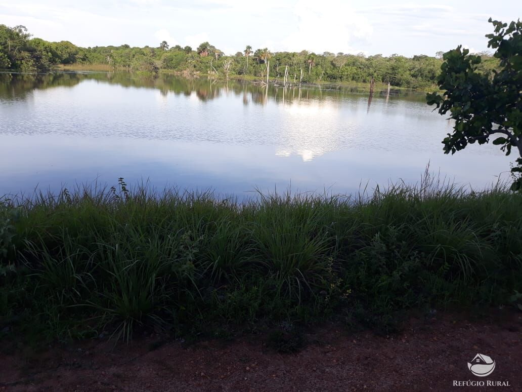 Fazenda à venda com 2 quartos, 1331m² - Foto 2