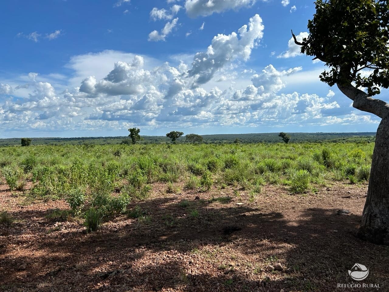 Fazenda à venda com 2 quartos, 1331m² - Foto 1