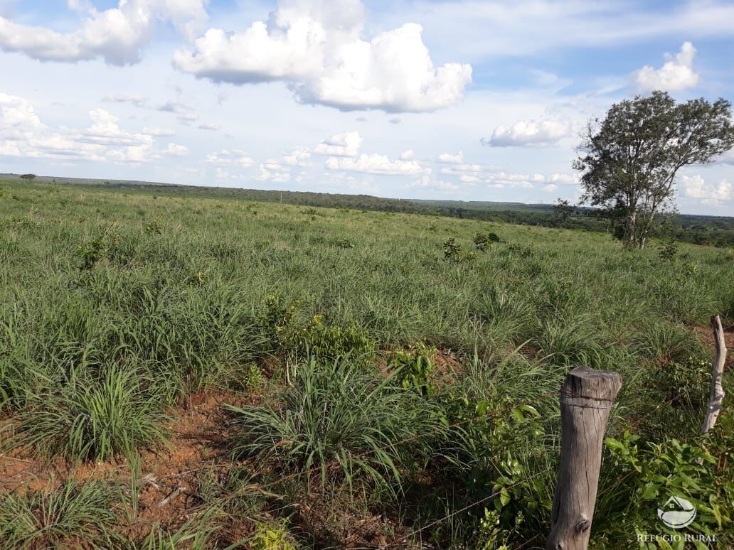 Fazenda à venda com 2 quartos, 1331m² - Foto 19