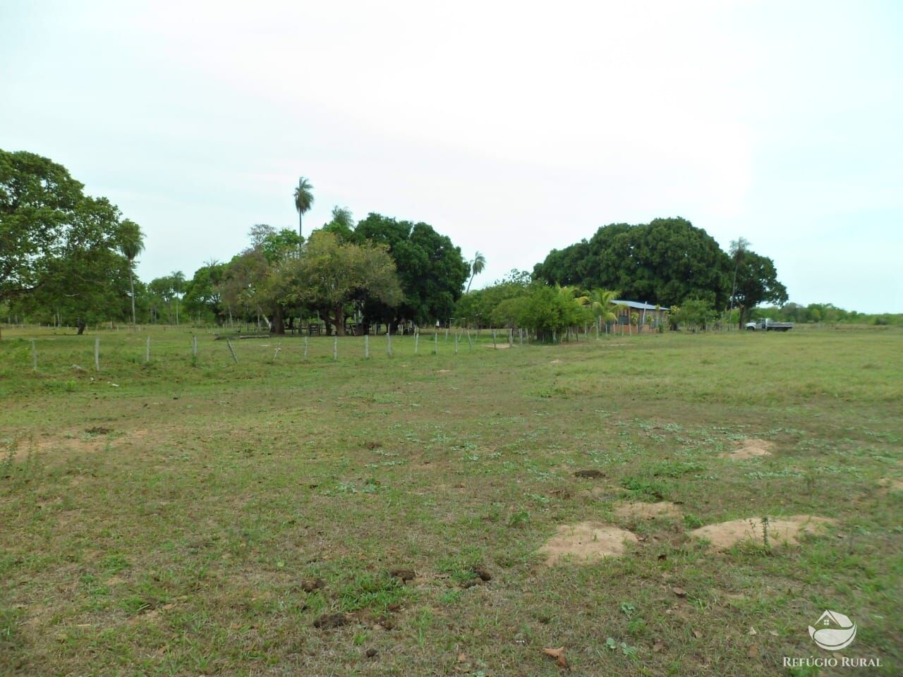 Fazenda à venda com 2 quartos, 9550000m² - Foto 13