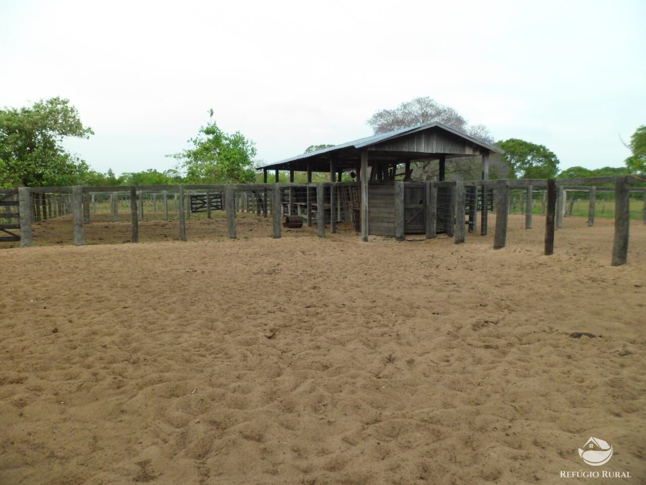 Fazenda à venda com 2 quartos, 9550000m² - Foto 10