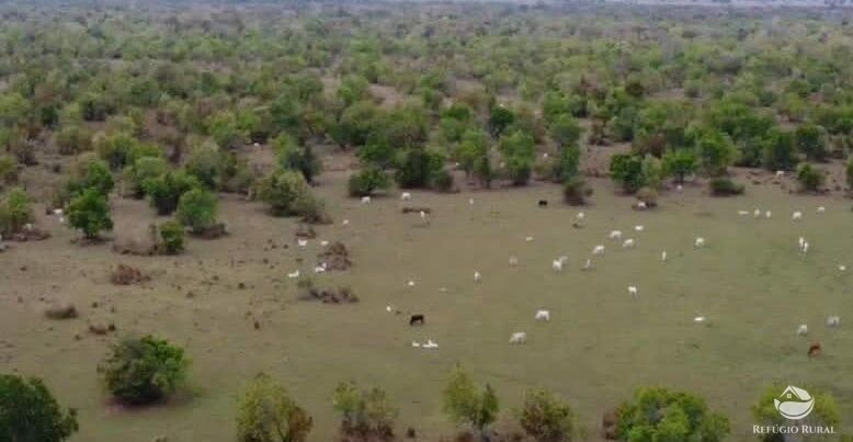 Fazenda à venda com 2 quartos, 9550000m² - Foto 1