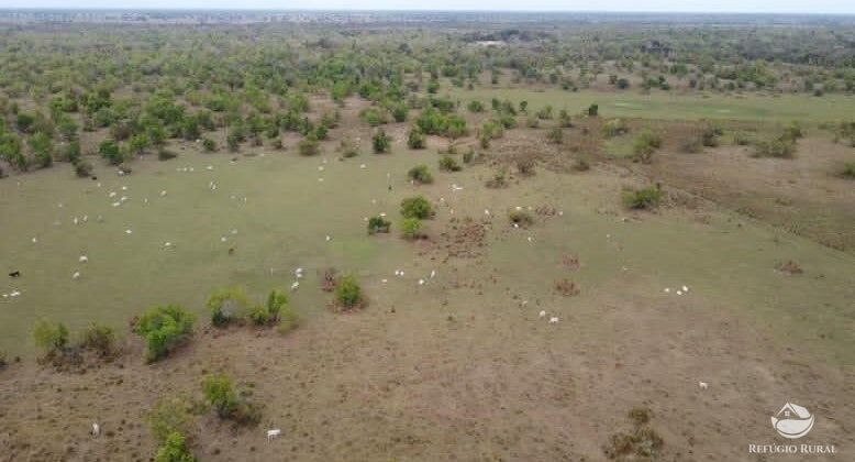 Fazenda à venda com 2 quartos, 9550000m² - Foto 9