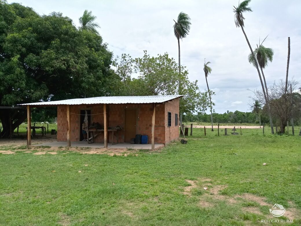 Fazenda à venda com 2 quartos, 9550000m² - Foto 17