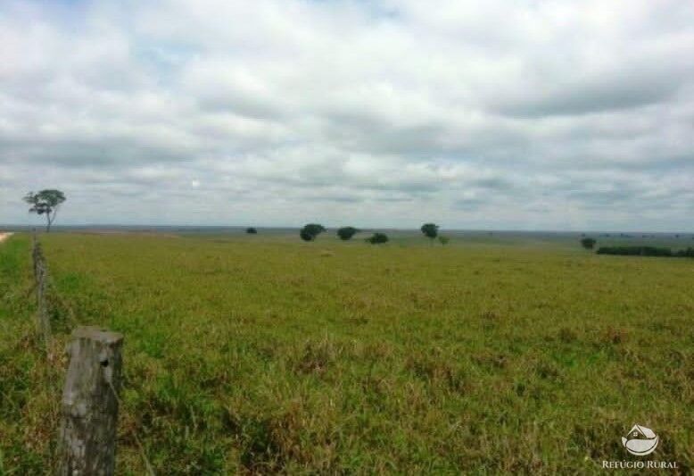 Fazenda à venda com 2 quartos, 9550000m² - Foto 6